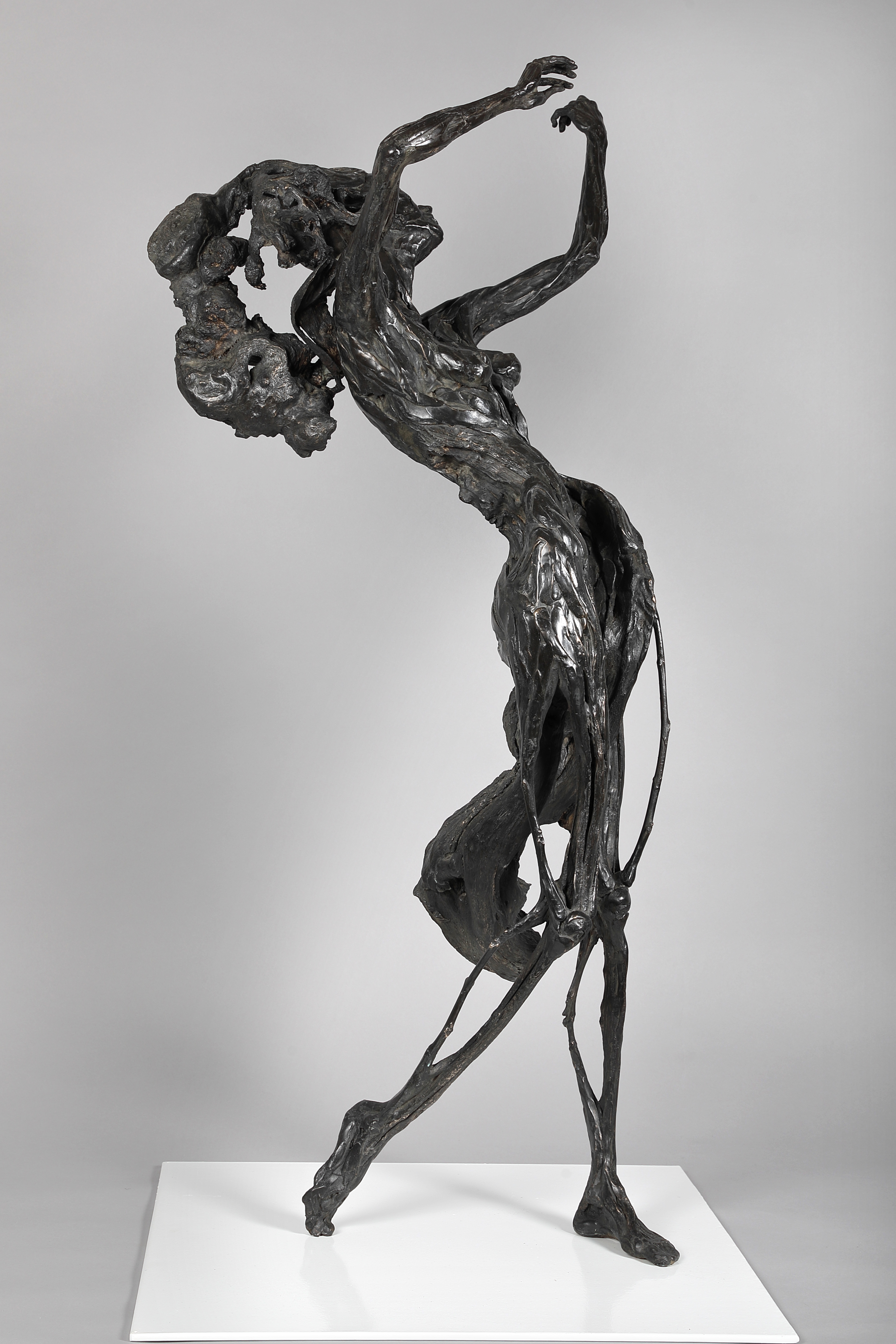 Romain Tiercin La Violoniste.jpg